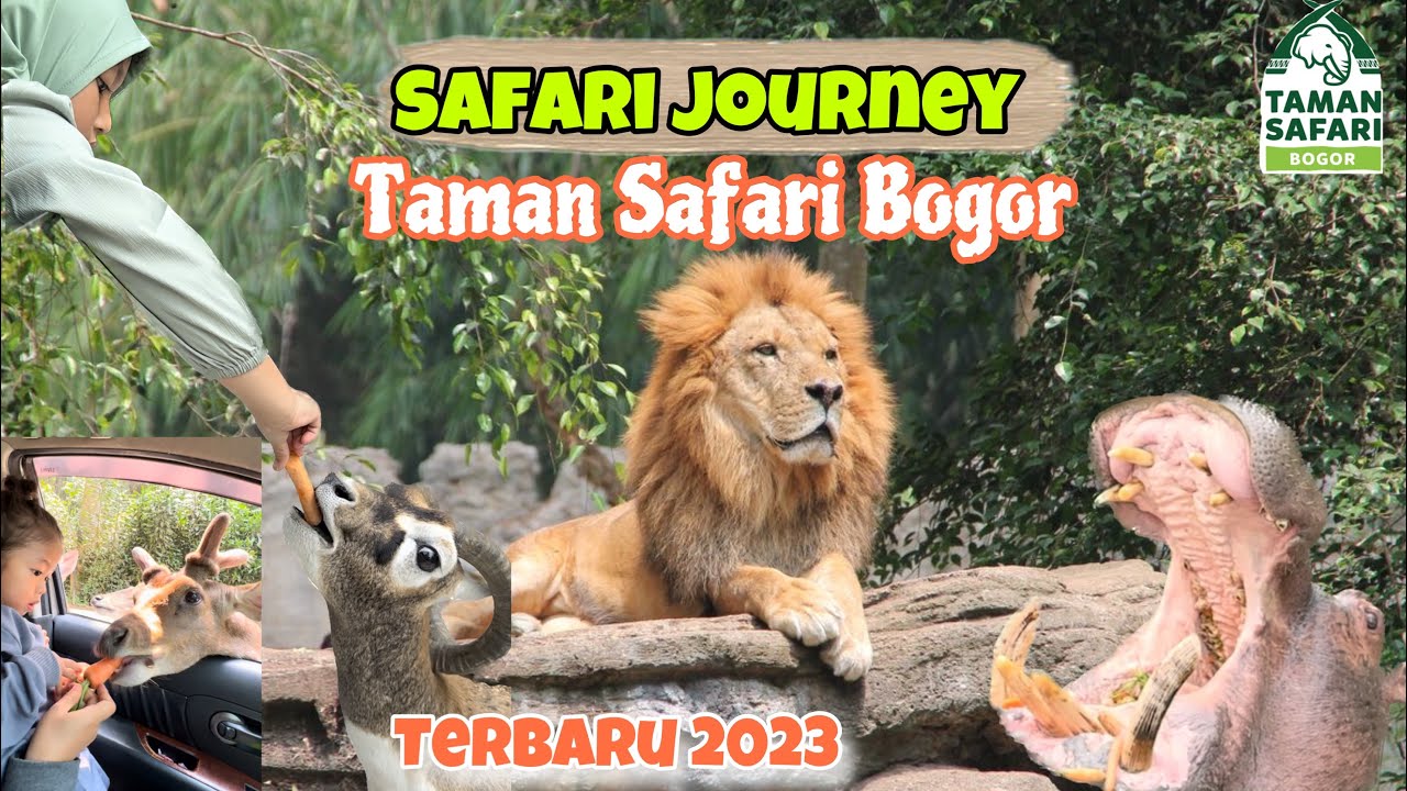 taman-safari-bogor-terbaru-2023-review-taman-safari-bogor-ter-update