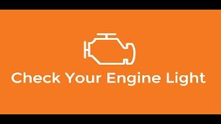 CYEL Global EIR Demo
