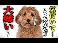 犬が嫌いな人にだけ見せる行動15選