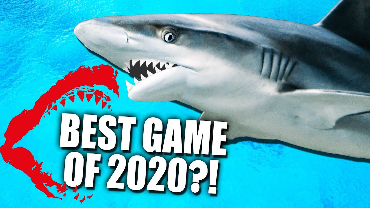 BEST GAME OF 2020 You Won t BELIEVE What This Game Is YouTube best-game-of-2020-you-won-t-believe-what-this-game-is-youtube