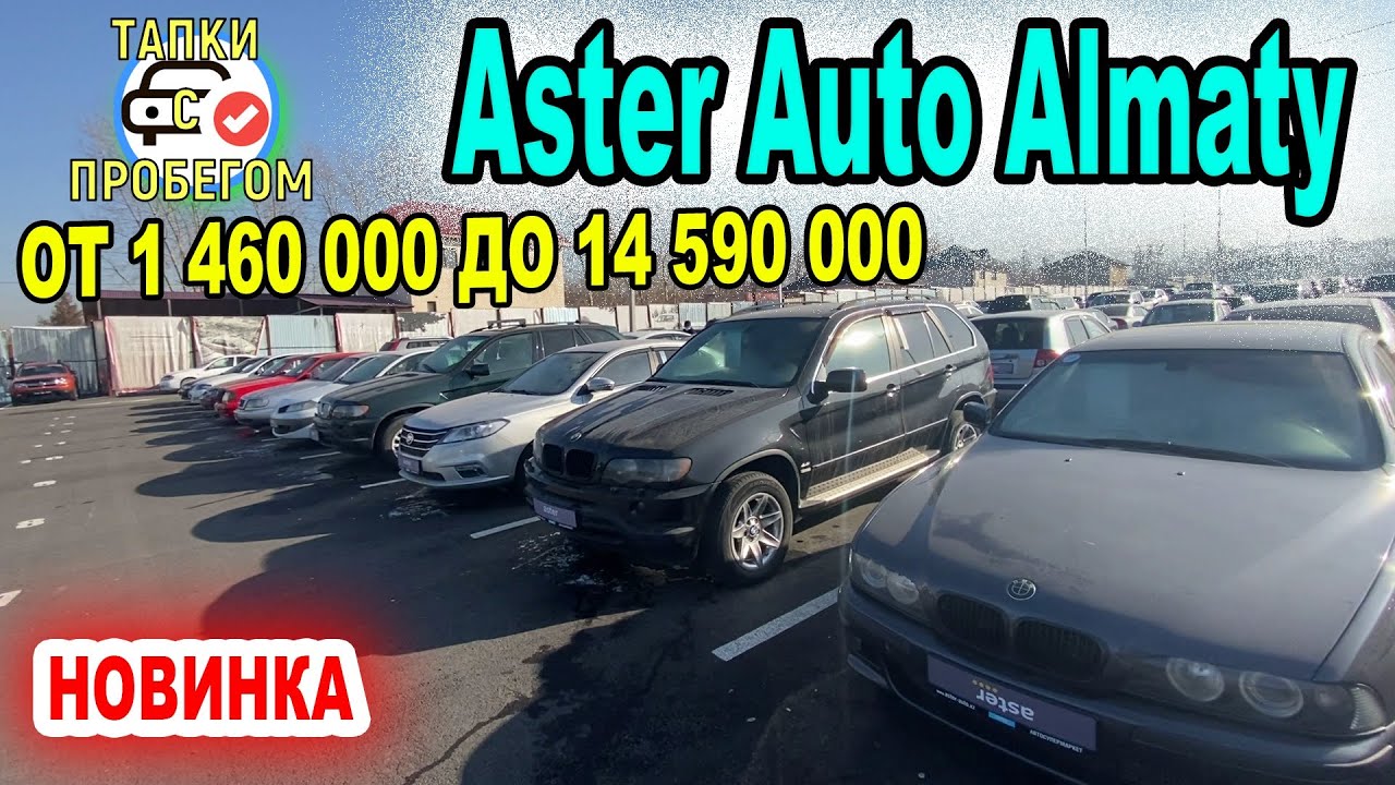 Астер авто новосибирск