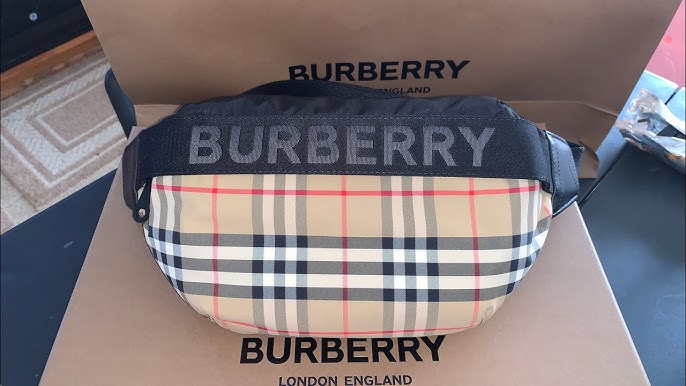 Burberry Medium Monogram Stripe E-canvas Bum Bag 8017212 Women,Men Leat  BF562644