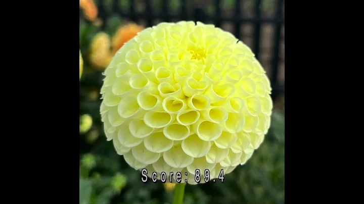 2023 Canby Trial Garden Year in Review