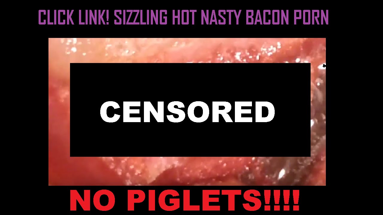 ⁣Sizzlin' Hot Meat: Bacon Food Porn HD