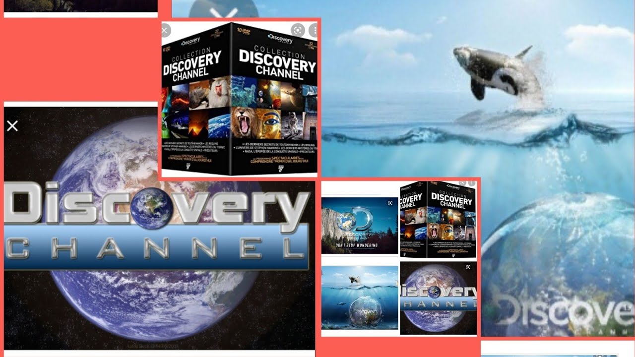 how to under red sea fish !  how to under red sea fish in tamil - best red sea fish to eat