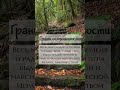 Осознания личного опыта. Ставь 👍