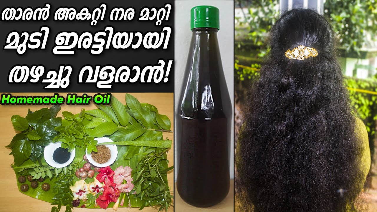 മുടി ഇരട്ടിയായി വളരാൻ HOMEMADE HAIR OIL Make hair oil at home to