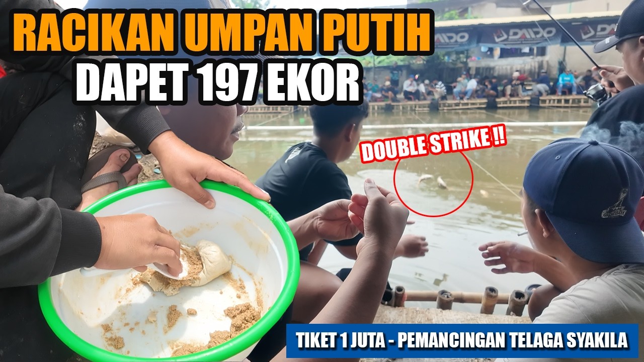 UDAH YAKIN JUARA TOTAL MENANG DARI TETANGGA DAPET 197 EKOR, SALAH PREDIKSI TERNYATA‼️