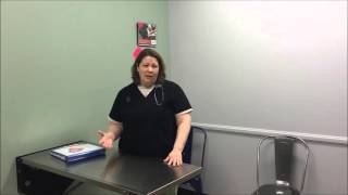 How Often Should My Cat Visit the Vet?