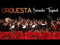 Orquesta serenata tropical boleros solamente boleros  los mejores boleros de la historia