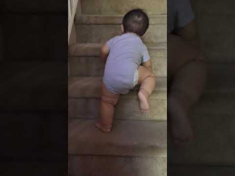 9 month old climbing stairs