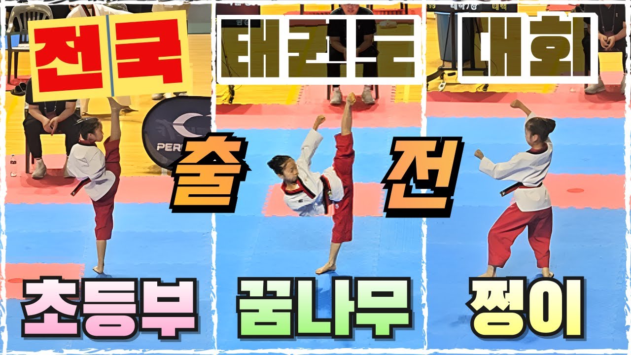 태권도 전국대회 현장 공개! 64강 시작부터 8점대?!! 쩡이가 각성?! 그 현장속으로 GO GO!