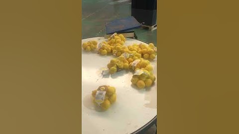 MarPack CAM21S Net Clipping Machine