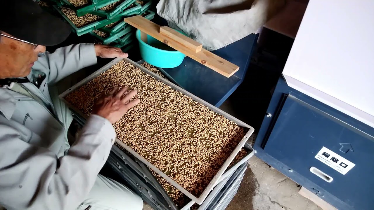 一人農業米作りの記録その２苗箱播種編）