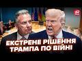 ПЕРЕГОВОРИ тільки закінчилися, а тут ТАКЕ! Віткоффа РОЗКУСИЛИ на очах у всіх. США забирають Донбас?