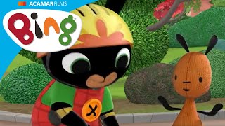 Bieganie Z Bing Bing Po Polsku