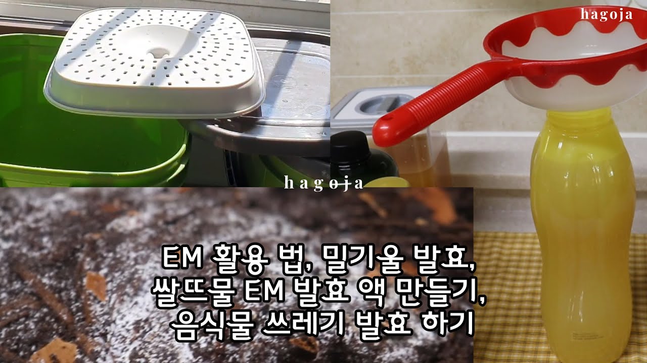 EM 활용 법, 밀기울 발효, 쌀뜨물 EM 발효 액 만들기, 음식물 쓰레기 발효 하기