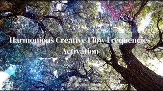 Harmonious • Creative Flow •  Frequencies • Activation