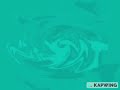 An Audio Effect I Ll Call Videoup V3 1B 