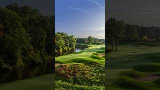 Blackwolf Run #golf