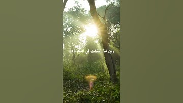 سورة الفلق بصوت القارئ حمزة بوديب