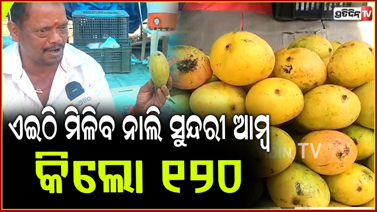 ମୋ ପାଖେ ଅଛି ଆମ୍ର ପଲ୍ଲୀ ଆମ୍ବ,ବାହାର ନେଳିକୁ ଭିତର ହଳଦୀ,ପୁରା ଚିନି!Andhra mangoes high demand summer,bbsr