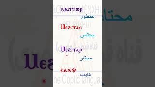 كلمات عاميه اصلها قبطي   قناه قبطي ( مصرى)  Coptic Channel
