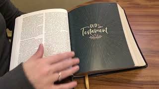 NIV Radiant Virtues Bible