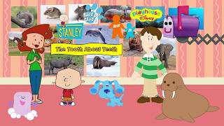 Stanley Blues Clues S2 Ep2 The Tooth About Teeth  Episode