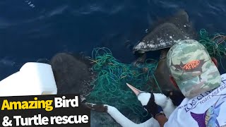 Fishermen Rescue A Bird & Turtle Stuck In A Net | Animal Rescue 2020