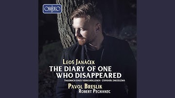 6 Folk Songs Sung by Gabel Eva, JW V/9: No. 6, Už tebe, Anička