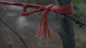 T.  S. Margraf feat.  HCH & TFG (TONTTU): Ulkoisista tunnusmerkeistä