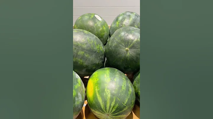 The Best Farmers Market in Georgia! Great deals When Shopping In Bulk! #juicing - DayDayNews