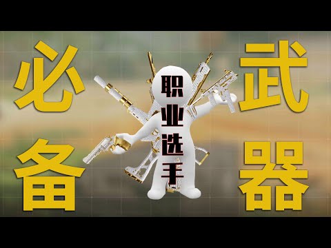 【使命召唤手游】动态紫皮白嫖攻略！内附职业选手5把常用枪械～