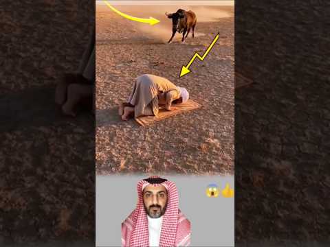 ثبتوا في السجودالتفات ولا ترد داقترب الخطر حتى لامس اللحظة ثم تجم د صامت ا فالسجود لم يكن بل حصن ا