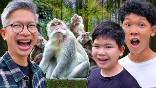 KITA PERGI KE HUTAN PENUH KERA!!