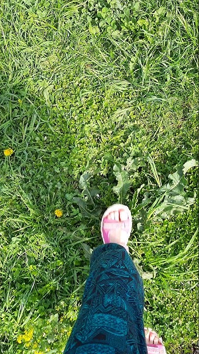 🤸🏼‍♀️«топтать» траву ради безопасности - YouTube