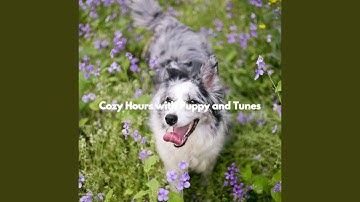 Magnificent Backdrops for Limitless Creativities