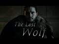 Got jon snow  the last wolf