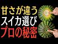 甘いスイカは“ここ”で決まる!プロも教えない見分け方