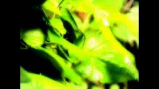 Rang Ra Ra Ri Ri Ra Ra [Full Song]  - Rang Ra Ra Ri Ri Ra Ra