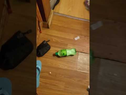 Making someones soda flat in less than a minute