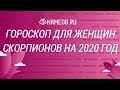 Гороскоп для женщин Скорпионов на 2020 год