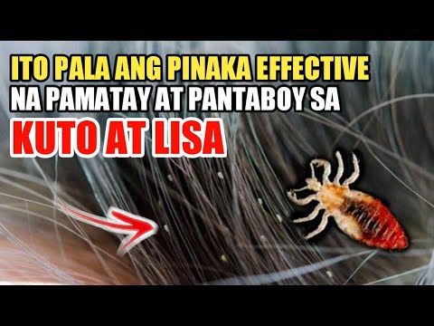 Video: Paano Manalo ng isang Laro ng Monopolyo: 15 Hakbang (na may Mga Larawan)