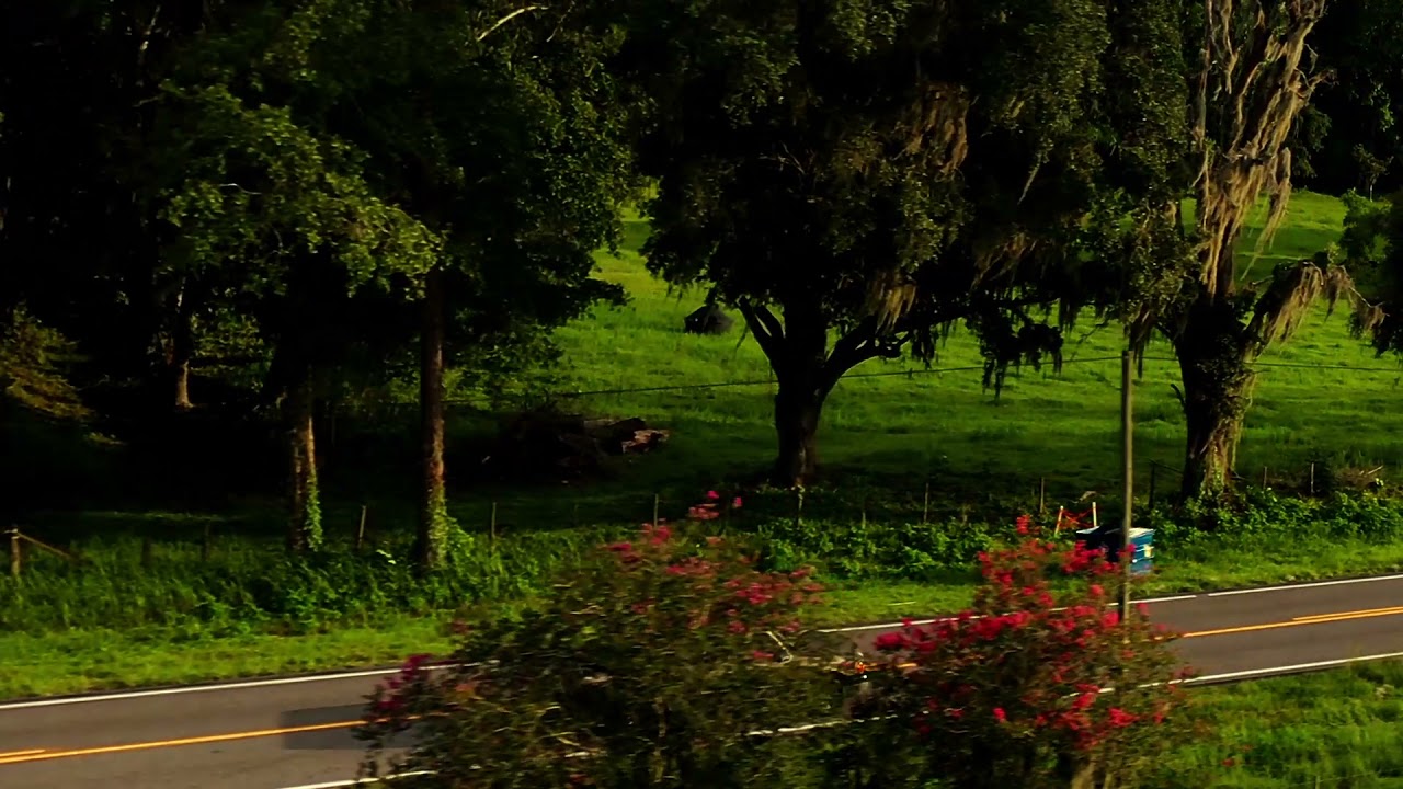 The Ride Home YouTube