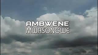 CHOZI LA HAKI BY AMBWENE MWASONGWE