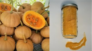 PUMPKIN POWDER (flour) ~ how to MAKE and what to DO with it.