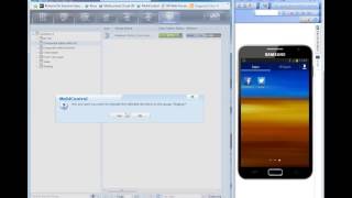 Magic MDM Solution - Webinar Recording (March 2014) screenshot 4