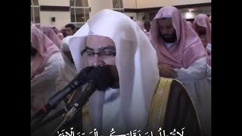 يا أَيُّها الّذين آمنوا لا تُبطِلوا صدقاتكُم بِالمن والأَذى//القارئ ناصر القطامي تلاوة خاشعة مؤثرة