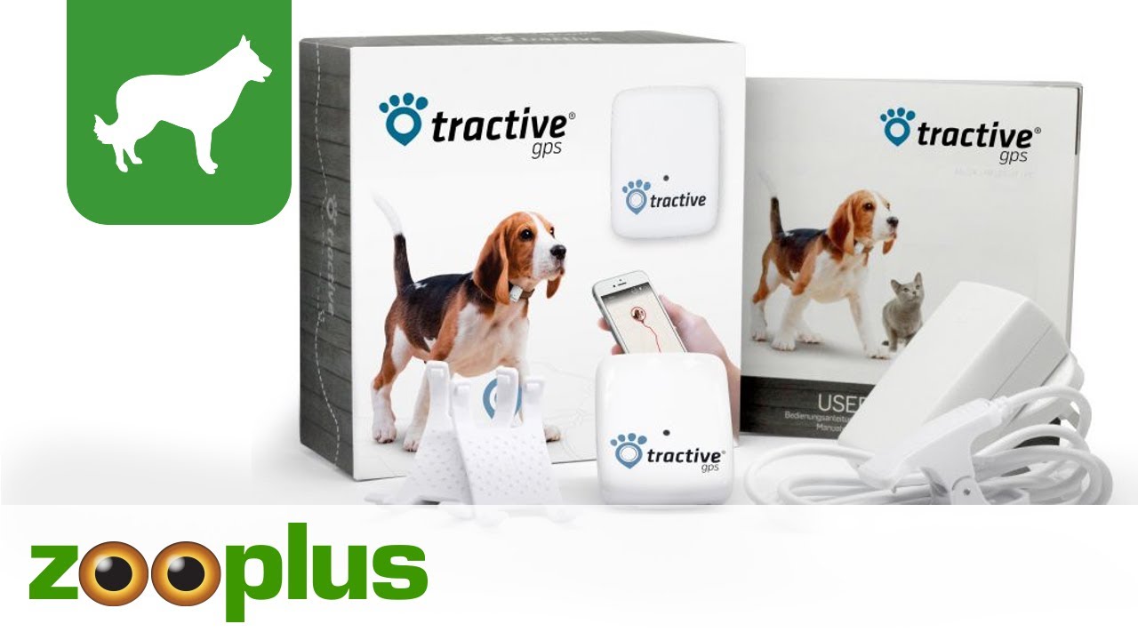 Tractive: GPS-Tracker für Hunde oder Katzen im Test - connect-living